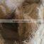 Coconut Fiber- High quality _ QQ : 2598494113