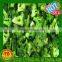 Frozen fruits IQF raspberry A grade