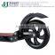 portable electric bike/electric bicycle/mini folding e-bike/ebike