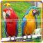 KANO5004 Decoration Life Size Fiberglass Artificial Parrot