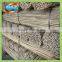 Garden Decoration of Little Bambu Cane, Bambu Plants, Bambu Cane for Support Plants 3' X 10/12mm