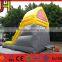 OEM Inflatable Fish Dry Slide For Kids