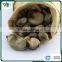 AFI Grade Cambodia Raw Cashew Nuts with Shells