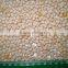 Yellow Peas from Ukraine. Premium grade, high purity