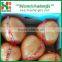 Chinese High Quality Pinghe Honey Pomelo with good services