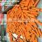 2016 fresh red carrot organic high quality HACCP Gap Kosher Size S M L 2L 3L