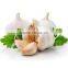 Cheap Wholesale Natural White Fresh Garlic Supplier