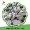 health delicious organic frozen market prices for frozen oyster mushroom have a hot sale in carton
