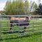 20 Panel Horse Yards Inc Gate Round Yard Cattle Fence Corral 12 m Diameter