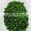 AD Drying Process Dehydrated Chive Roll 3*3mm All Green Leaves