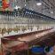 Hot sale osaint design Machine butcher equipment