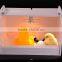 Family use chicken brooder for sale,poultry brooder made in china