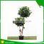 Mini bonsai artificial ficus ball tree