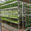 Professional Greenhouse Used Commercial Hydroponic Systems