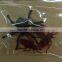 Realistic Design Halloween Tricky Black Plastic Insect