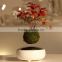 Cheap designer decor Air-layering levitating plant bonsai