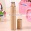factory supply 12 standard color natural HB wood pencil