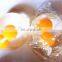 Double yellow egg TPR Smash Sport Water Ball, Splat Sticky Water Ball
