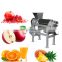 Manufactory Direct Sale Electric juicer cold press for Commercial Using