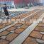 Square Corten Tree Grids/grille