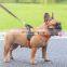 Pet small medium and large dog nylon leash chest strap set