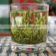 Maofeng organic slim tea, green tea