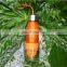 Outdoor sports plastic H2O fruit infuser water bottle Lemon juice water bottle