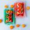 fresh tray customize disposable tray plastic packing  PB2tray