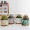 Factory Cheap Ceramic Pots Succulent Unique Small Circle Marble Vein European Indoor Flower Pot