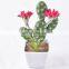 Wholesale Lifelike Artificial Plant Bonsai Ornamental Mini Home Office Faux Plants Pot Decor Artificial Cactus Potted Plants