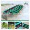 Avocado fruit sorting machine