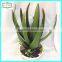 35cm new design hot sale fake cactus