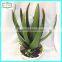 34cm new design hot sale decorating with fake cactus