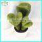 20cm hot sale artificial cactus home decor