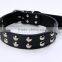 Factory Direct Sale Mushroom Nails Pet Collars Double Row Ornaments Dog Collar