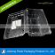 Disposable Plastic Clear Blister Packaging Container For Strawberry