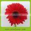 Pure and mild flavor classical types of gerbera