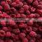 Frozen Style Raspberry 2015 Crop Whole and Crumble