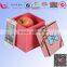 Lovely paper box gift box packaging box,gift boxes with handles