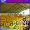 Amusement Children Plastic Balls Funland, Inflatable Slide, Water Pool