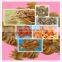 1000kg/h Automatic Extruded Snack Food Fried Wheat Flour Bugle making Machines