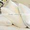 Wholesale Pillow Inserts , Custom Pillow Inserts Supplier