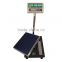 Blue Stainless Steel Platform Cattle Scale