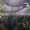 vegetables sun shade net