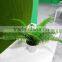 All types of artificial mini bonsai plant potted plant export from China
