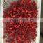 IQF Frozen raspberry whole with best price