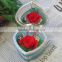 2016 Yiwu Aimee wholesale Valentine's Day gift import preserved fresh cut flower(AM-PF04)