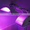 2017 Flagship ! 7 colors Wholesale PDT Light Skin Care Facial LED photon therapy