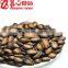 Chinese cheap watermelon seeds
