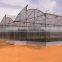plastic film for greenhouse